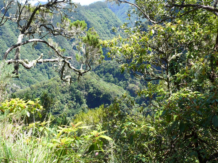 Foto de Madeira, Portugal