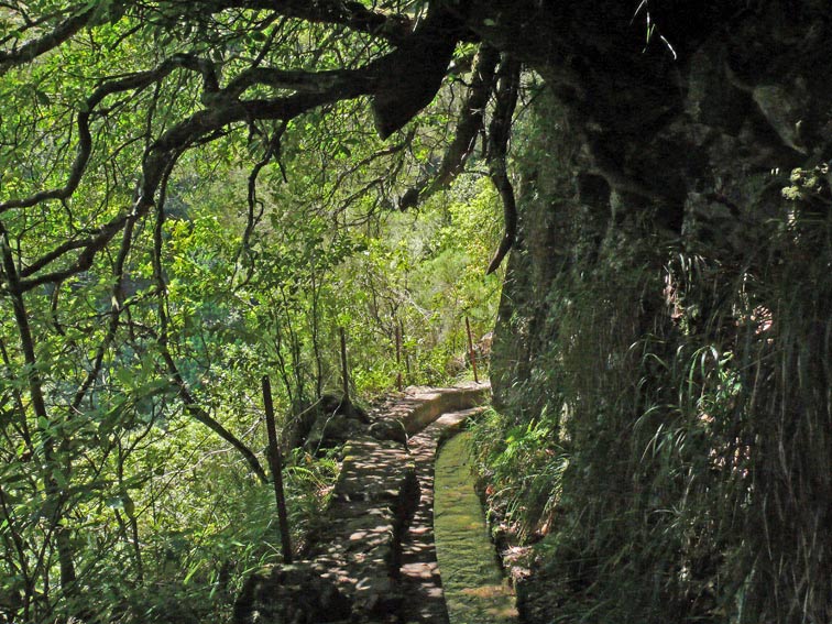 Foto de Madeira, Portugal