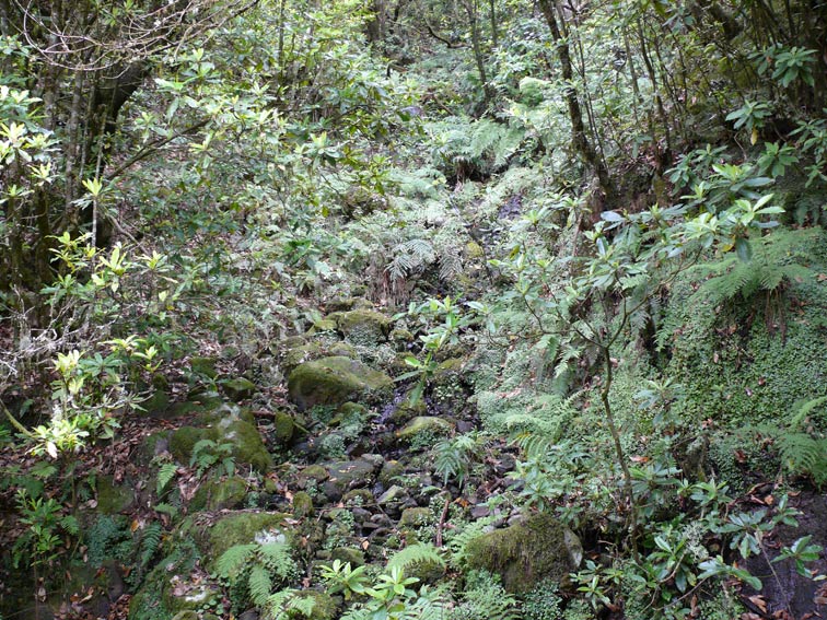 Foto de Madeira, Portugal