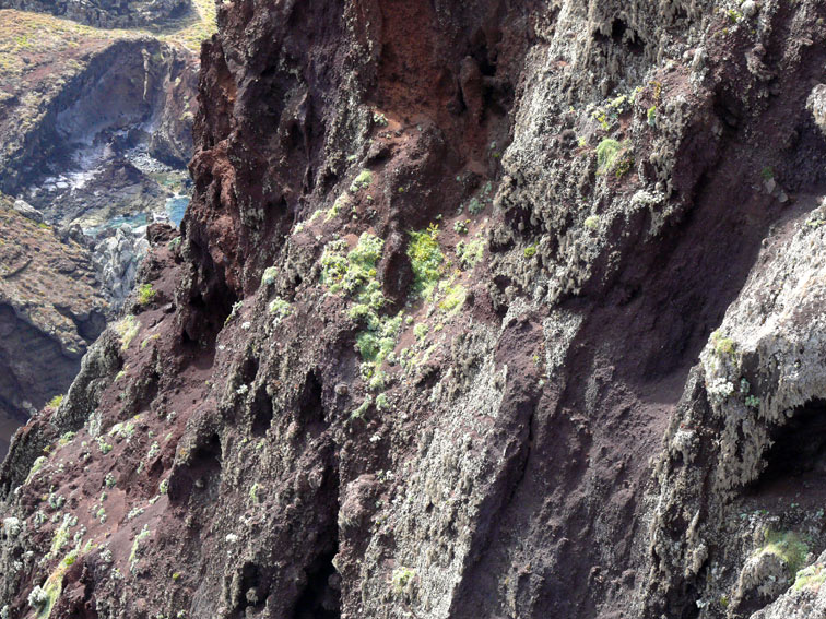 Foto de Madeira, Portugal