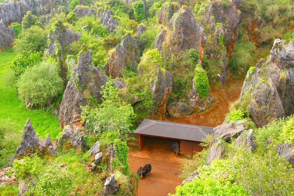 Foto de Cabárceno (Cantabria), España