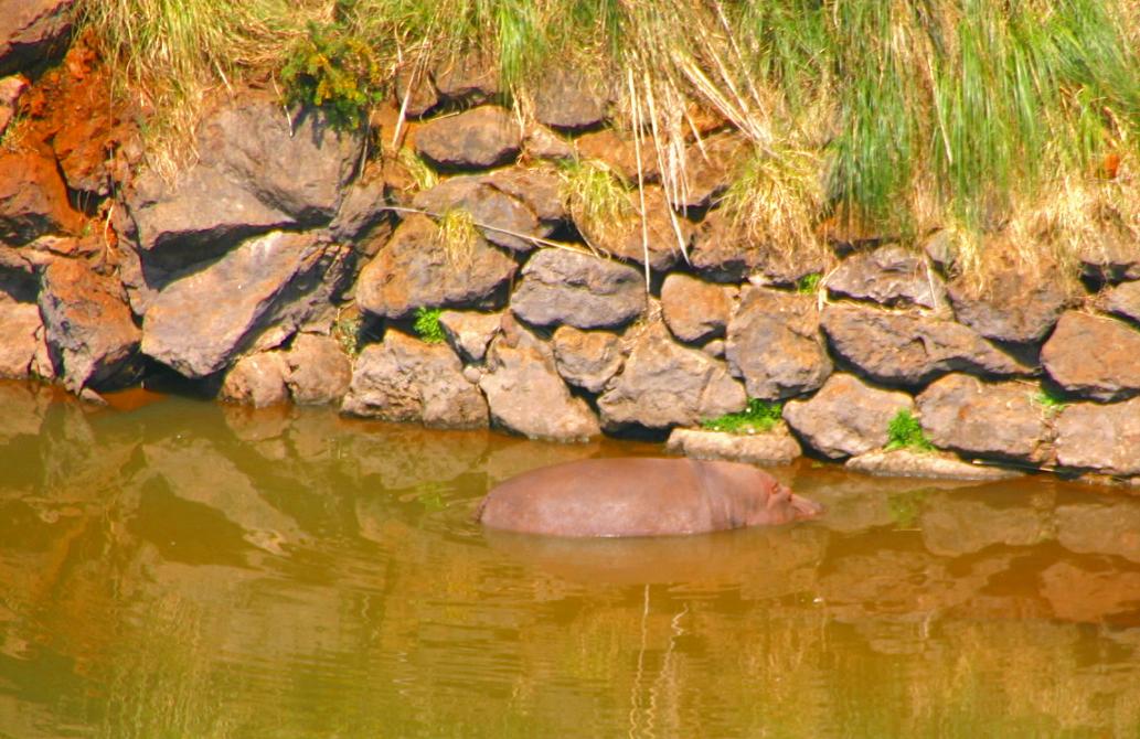 Foto de Cabárceno (Cantabria), España