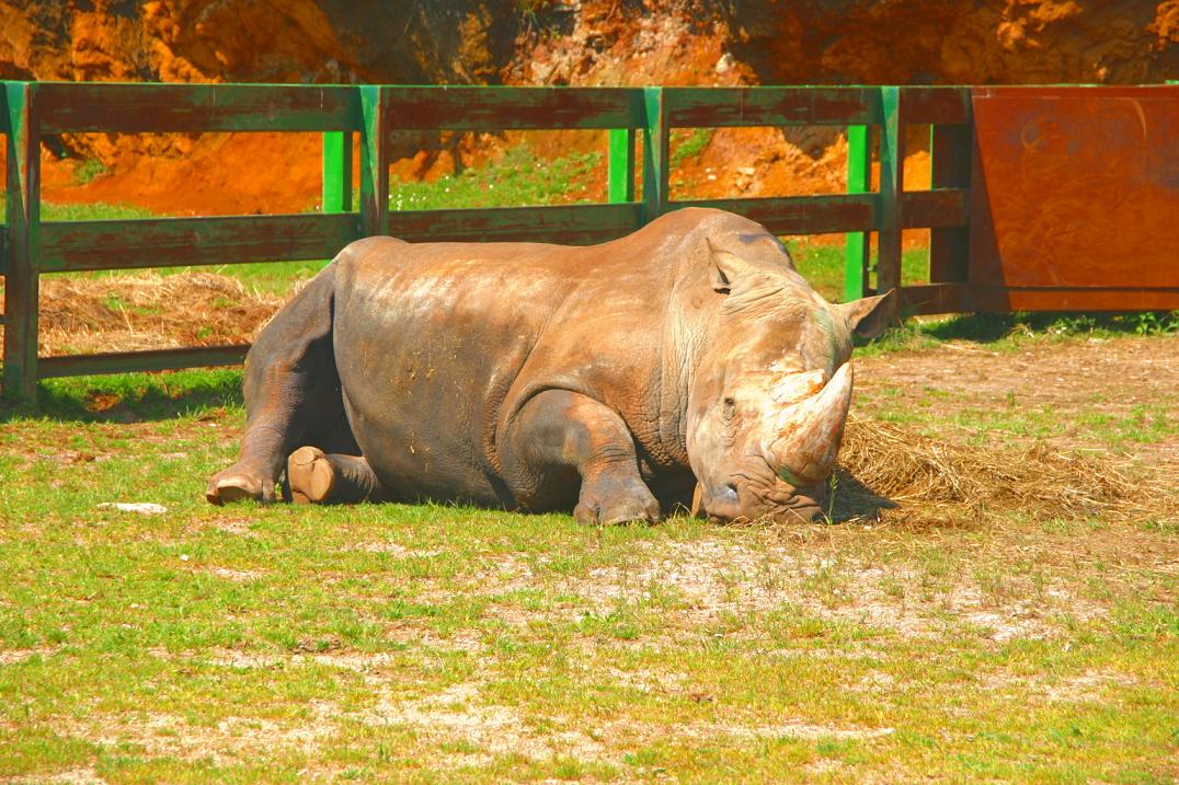 Foto de Cabárceno (Cantabria), España