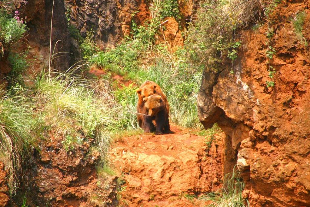 Foto de Cabárceno (Cantabria), España