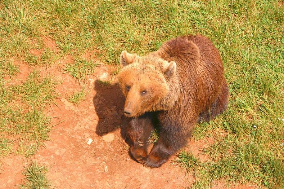 Foto de Cabárceno (Cantabria), España