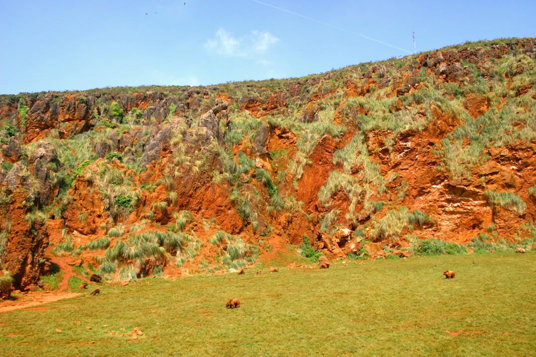 Foto de Cabárceno (Cantabria), España