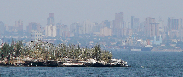 Foto de Isla de Pajaros, Venezuela