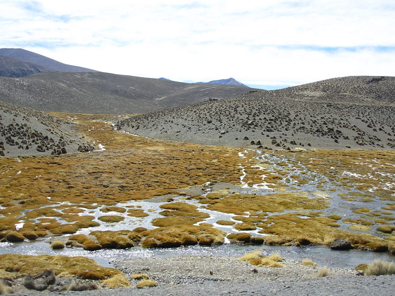 Foto de Arica (Altiplano), Chile