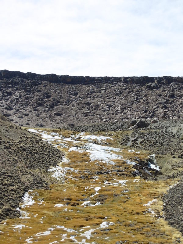 Foto de Arica (Altiplano), Chile