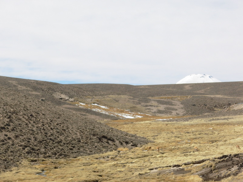 Foto de Arica (Altiplano), Chile