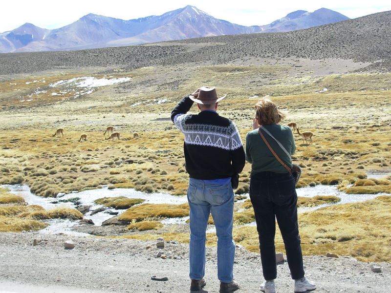 Foto de Arica (Altiplano), Chile
