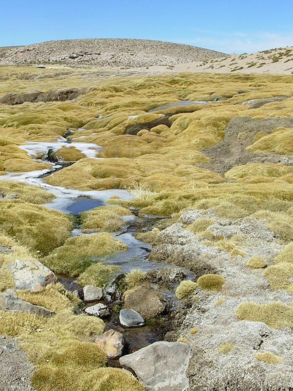 Foto de Arica (Altiplano), Chile
