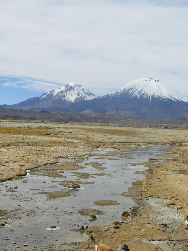Foto de Arica (Altiplano), Chile