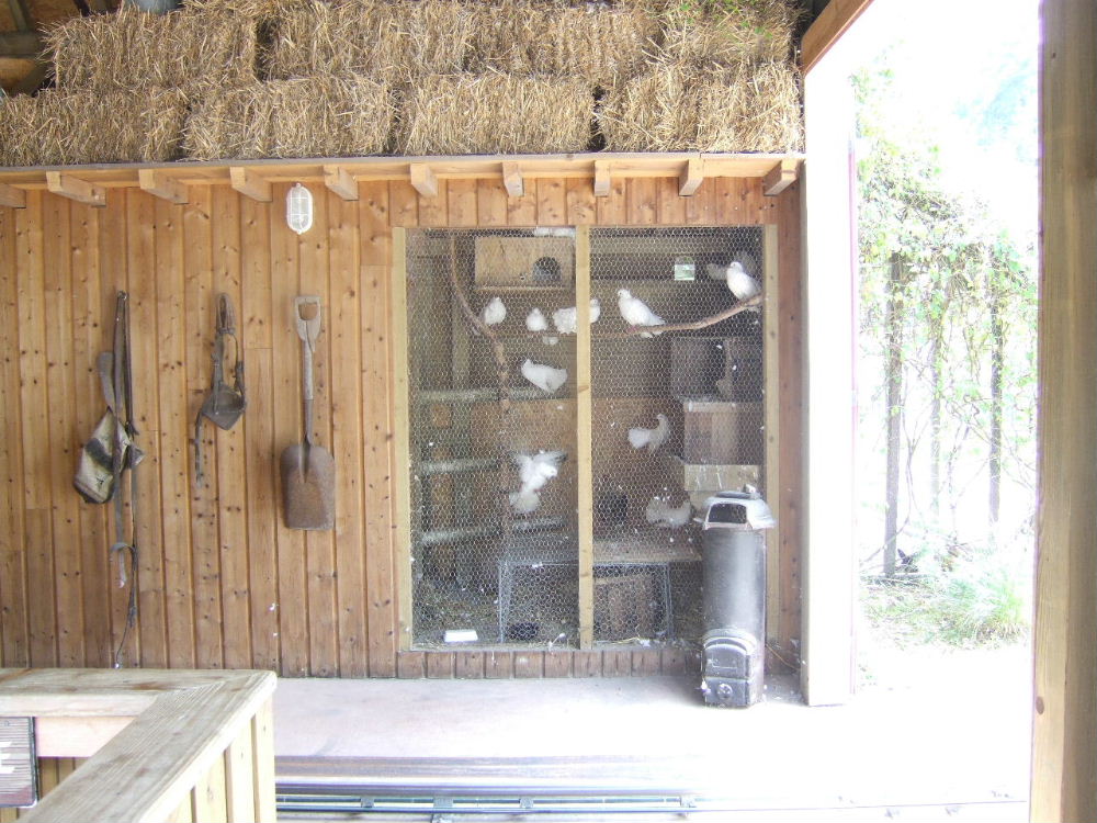 Foto de Fraispertuis, Francia