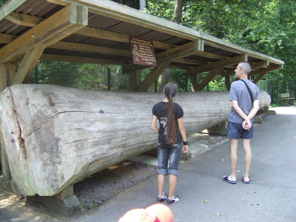 Foto de Fraispertuis, Francia