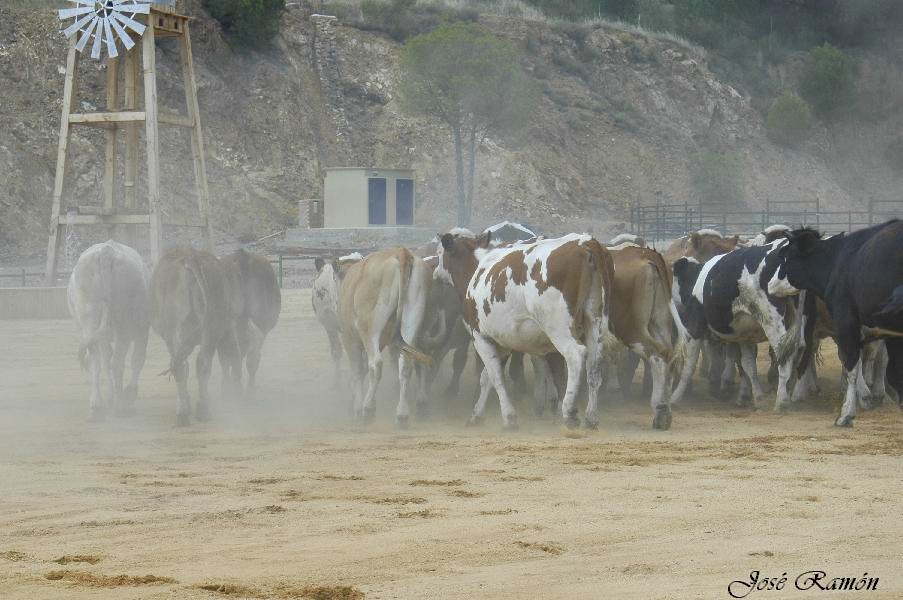 Foto de Sevilla (Andalucía), España