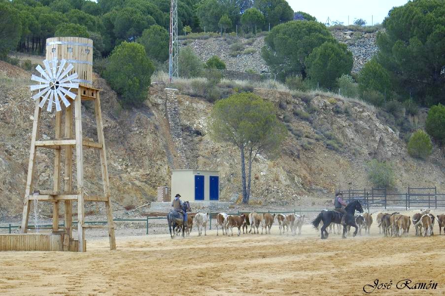 Foto de Sevilla (Andalucía), España