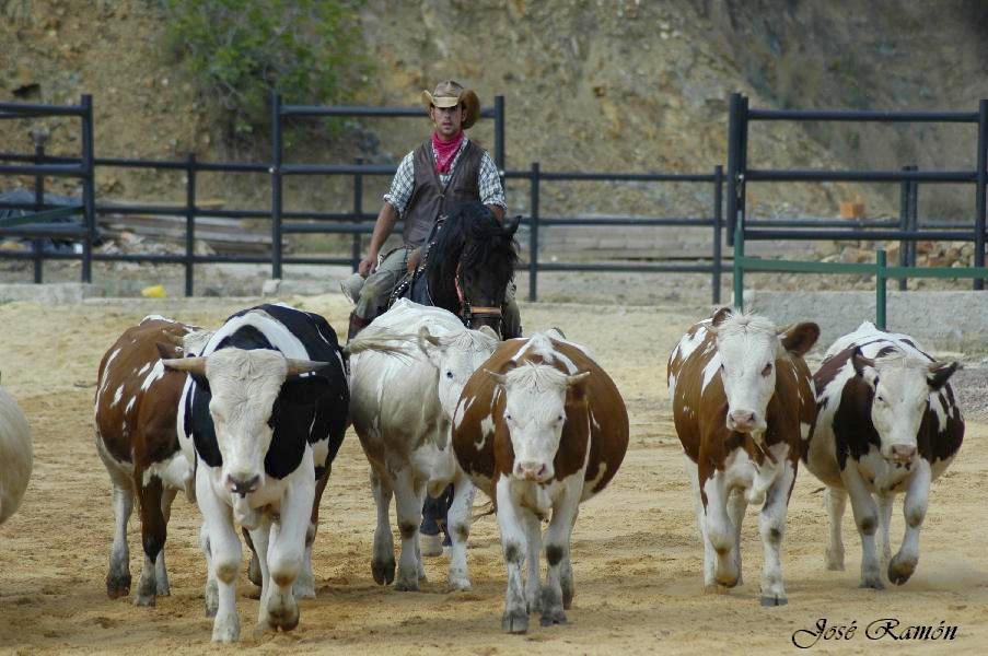 Foto de Sevilla (Andalucía), España