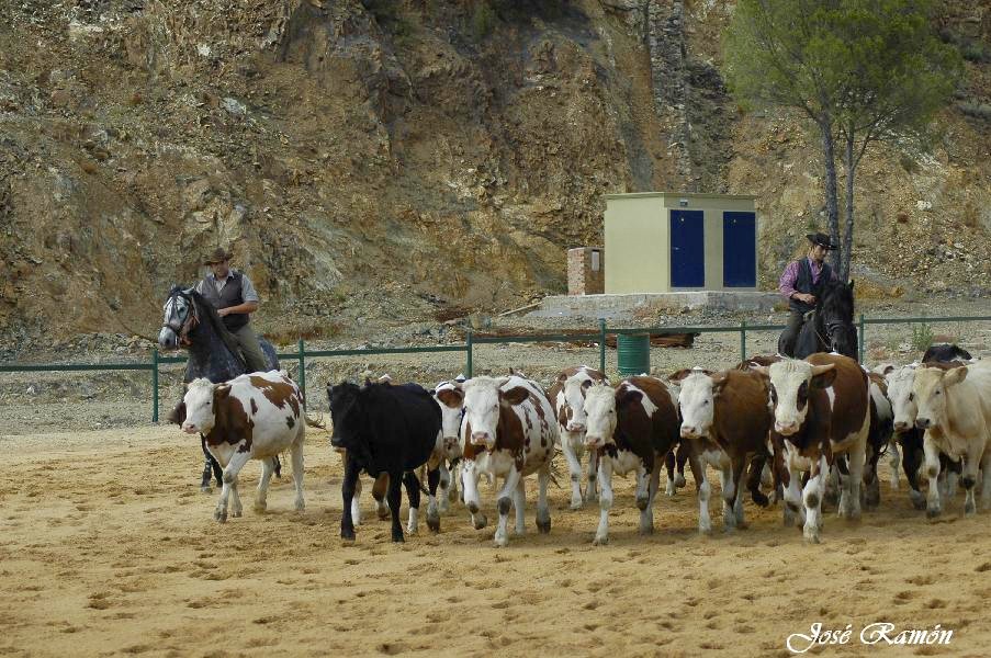 Foto de Sevilla (Andalucía), España