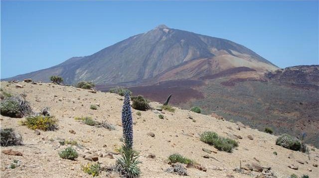 Foto de Las Cañadas (Santa Cruz de Tenerife), España