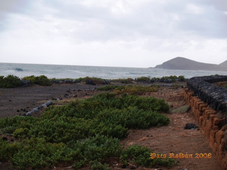 Foto de El Médano (Santa Cruz de Tenerife), España