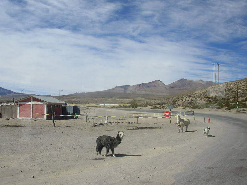 Foto de Arica (Altiplano), Chile