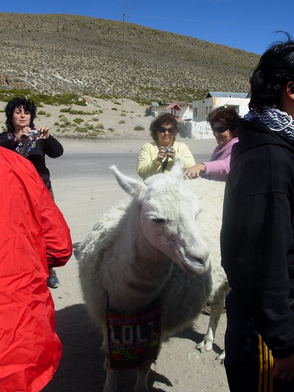 Foto de Arica (Altiplano), Chile