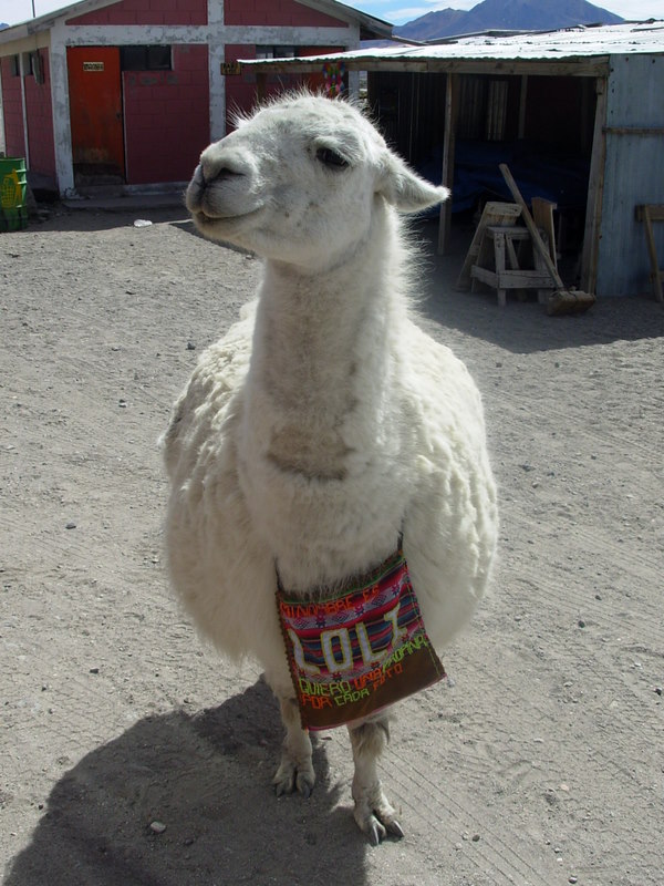 Foto de Arica (Altiplano), Chile