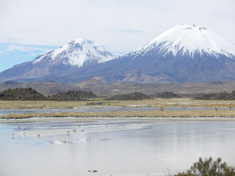 Foto de Arica (Altiplano), Chile