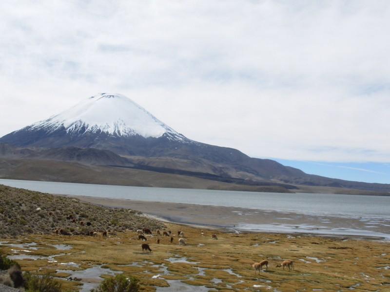 Foto de Arica (Altiplano), Chile