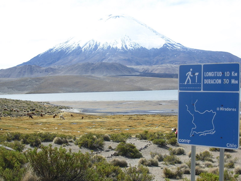 Foto de Arica (Altiplano), Chile