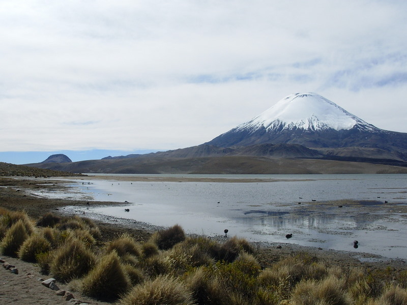 Foto de Arica (Altiplano), Chile