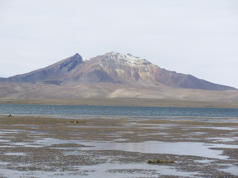 Foto de Arica (Altiplano), Chile