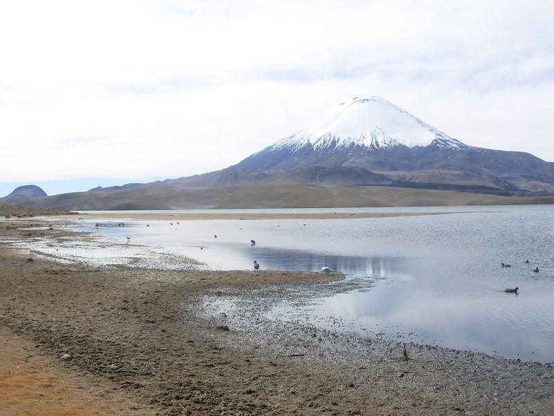 Foto de Arica (Altiplano), Chile