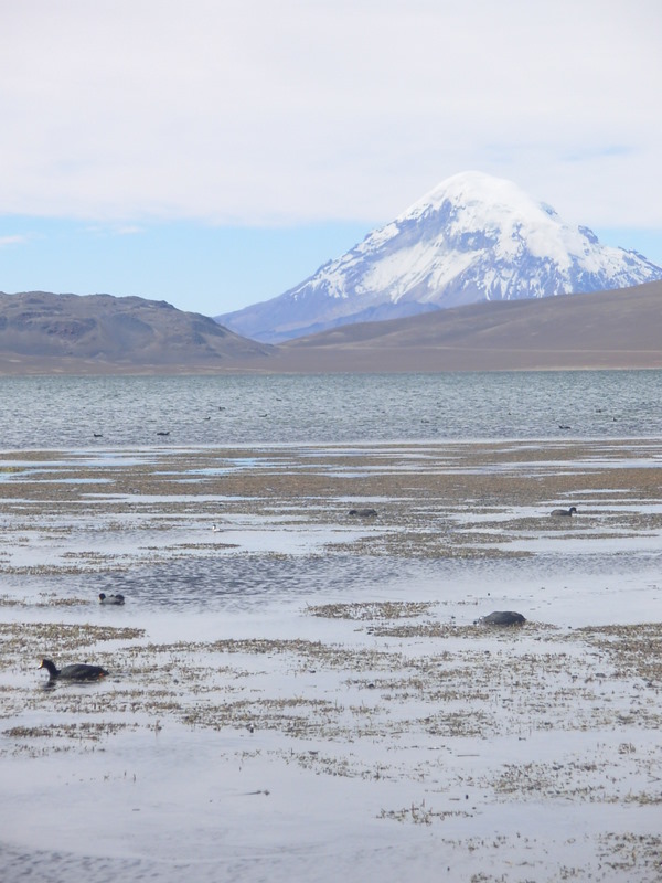 Foto de Arica (Altiplano), Chile
