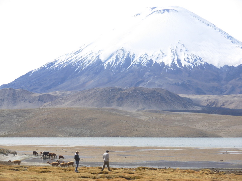 Foto de Arica (Altiplano), Chile