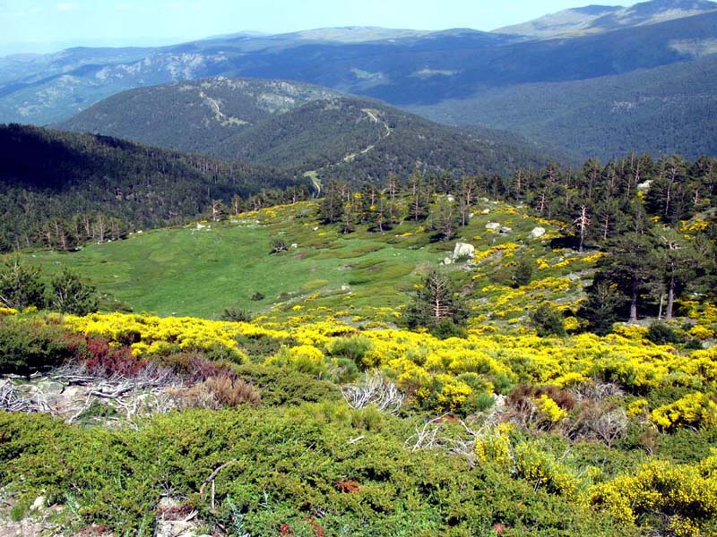 Foto de Sierra de Guadarrama (Madrid), España