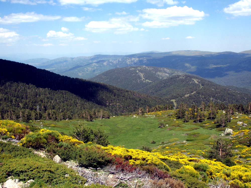 Foto de Sierra de Guadarrama (Madrid), España