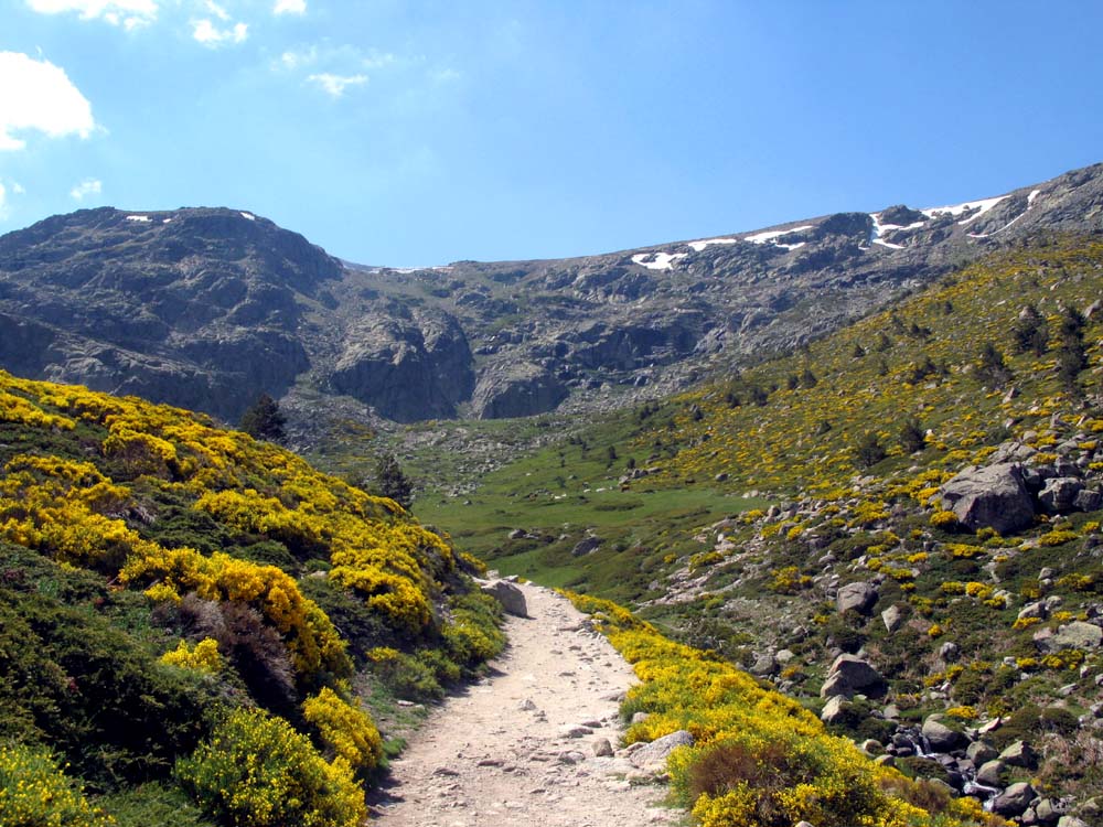 Foto de Sierra de Guadarrama (Madrid), España