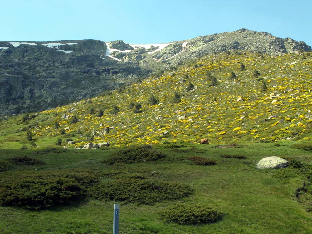 Foto de Sierra de Guadarrama (Madrid), España