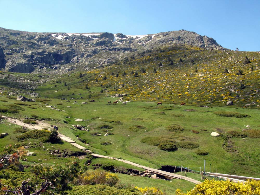 Foto de Sierra de Guadarrama (Madrid), España