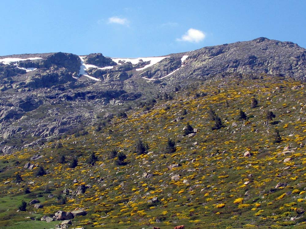 Foto de Sierra de Guadarrama (Madrid), España