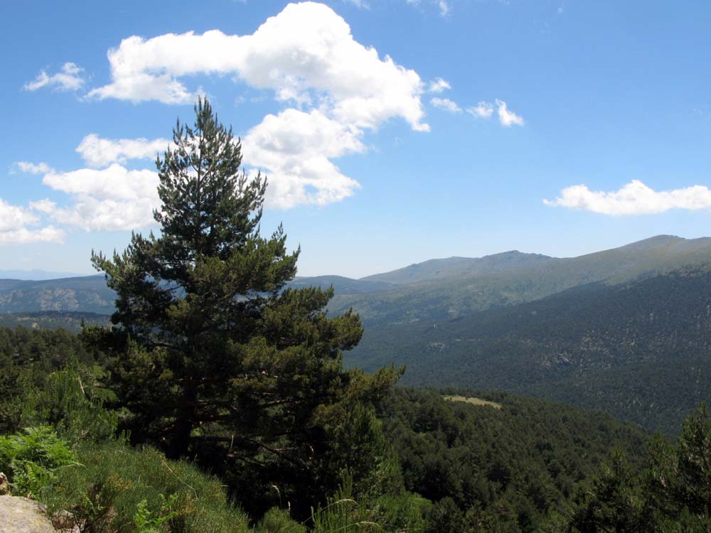 Foto de Sierra de Guadarrama (Madrid), España