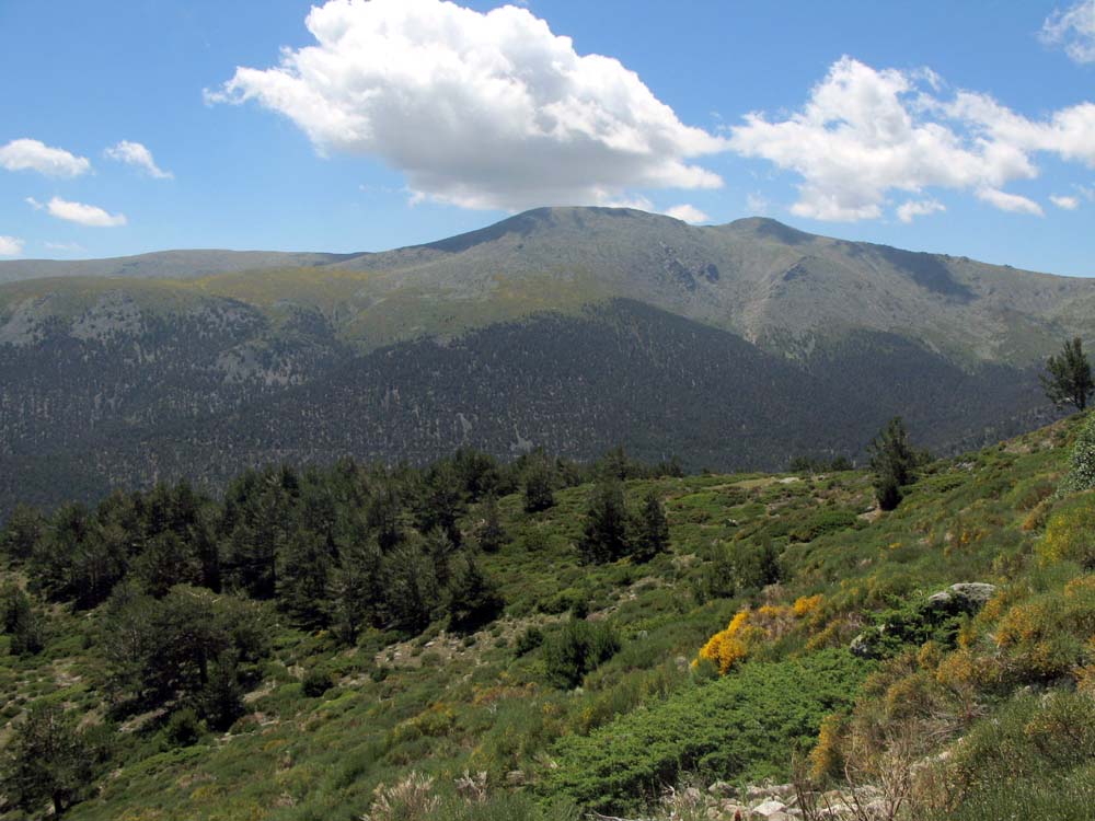 Foto de Sierra de Guadarrama (Madrid), España