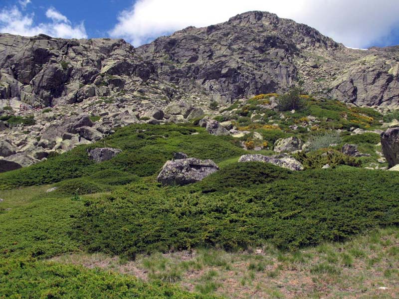 Foto de Sierra de Guadarrama (Madrid), España