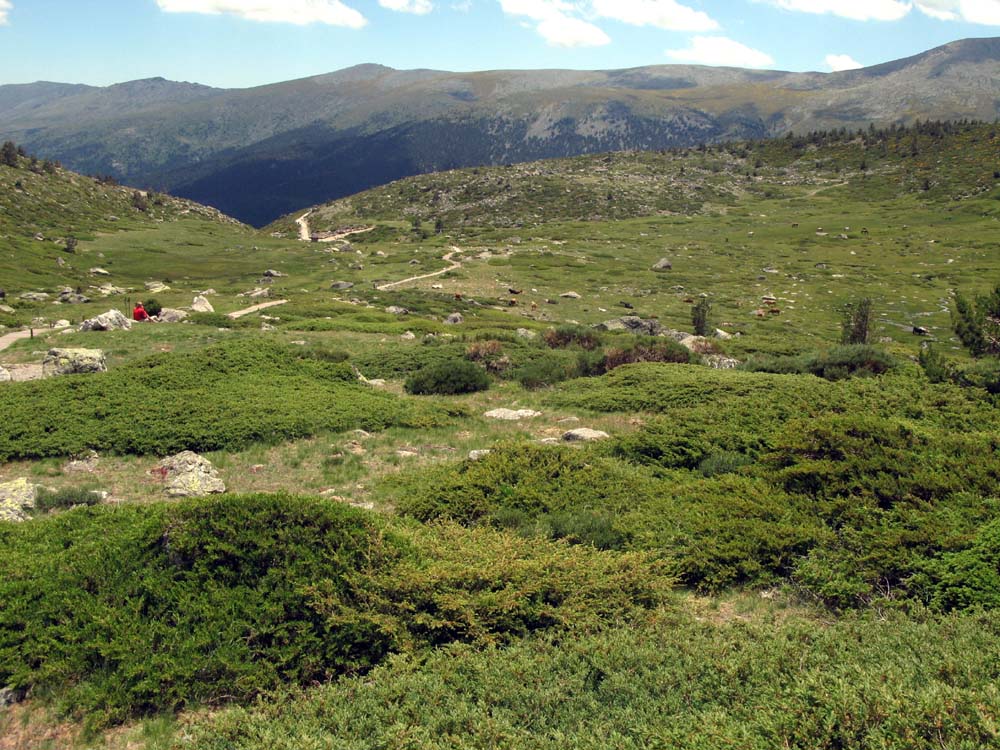 Foto de Sierra de Guadarrama (Madrid), España