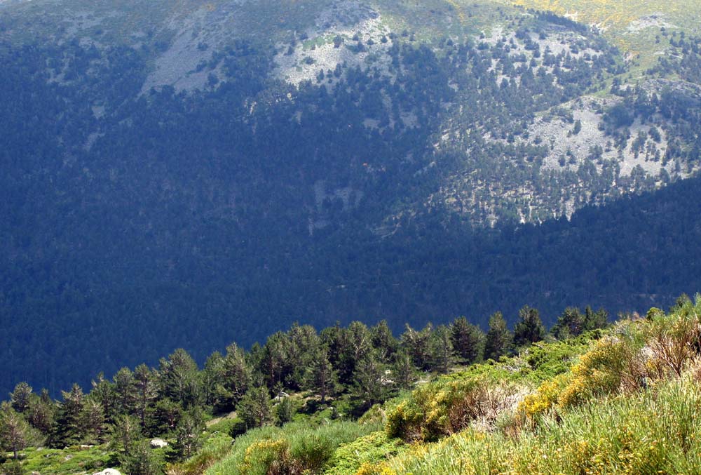 Foto de Sierra de Guadarrama (Madrid), España