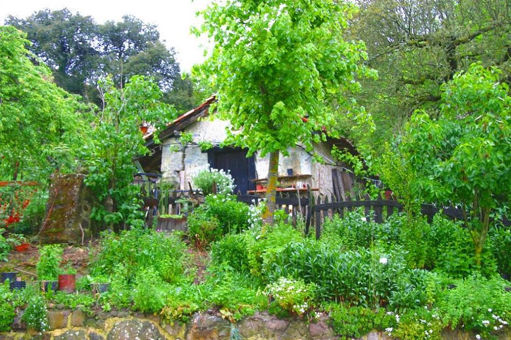 Foto de Piasca (Cantabria), España