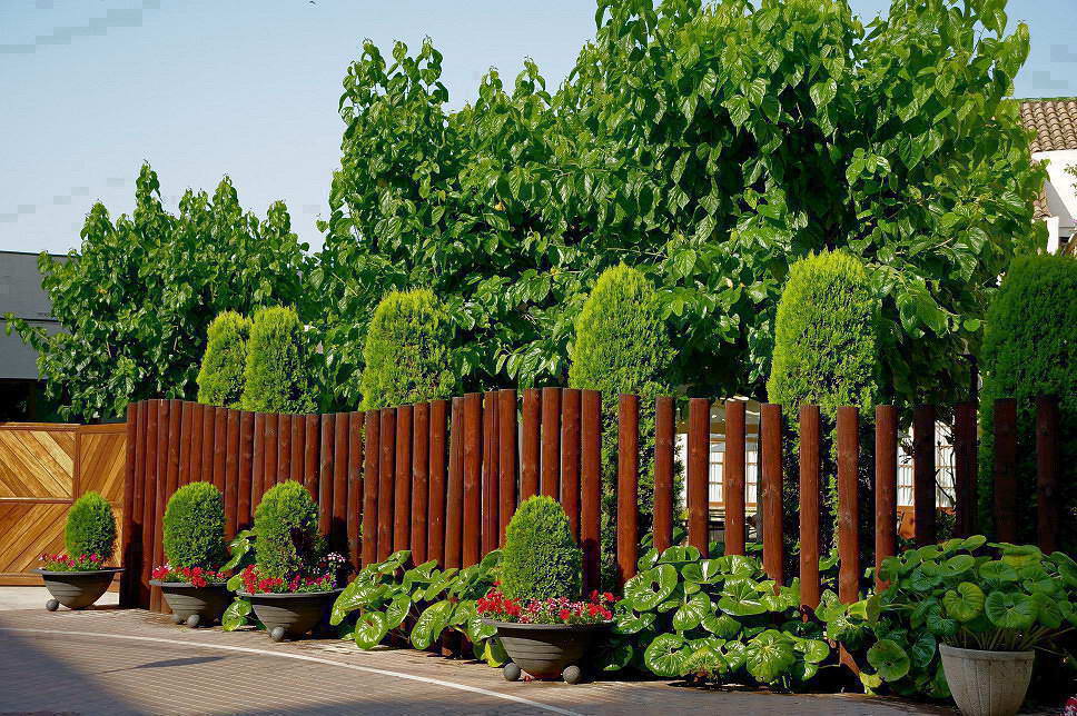 Foto de Caldes de Montbui (Barcelona), España