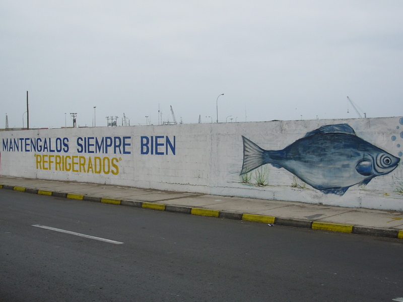 Foto de Arica, Chile
